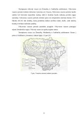 Drėgnasis augimo sezonas 9 puslapis