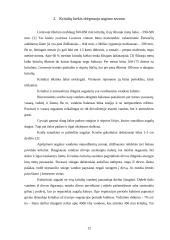 Drėgnasis augimo sezonas 10 puslapis