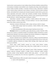 Jaunesniojo mokyklinio amžiaus mokinių vaizduotės ypatumai 11 puslapis