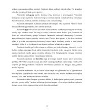Jaunesniojo mokyklinio amžiaus mokinių vaizduotės ypatumai 13 puslapis