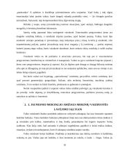 Jaunesniojo mokyklinio amžiaus mokinių vaizduotės ypatumai 18 puslapis