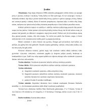 Jaunesniojo mokyklinio amžiaus mokinių vaizduotės ypatumai 3 puslapis