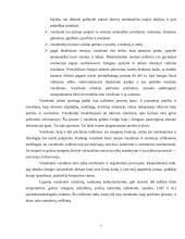 Jaunesniojo mokyklinio amžiaus mokinių vaizduotės ypatumai 7 puslapis