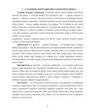 Jaunesniojo mokyklinio amžiaus mokinių vaizduotės ypatumai 8 puslapis
