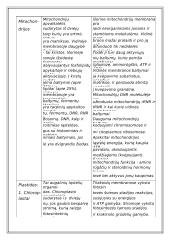 Du skirtingi ląstelių tipai 12 puslapis