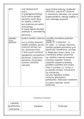 Du skirtingi ląstelių tipai 15 puslapis