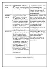 Du skirtingi ląstelių tipai 16 puslapis