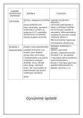 Du skirtingi ląstelių tipai 17 puslapis