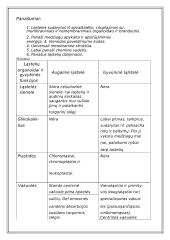 Du skirtingi ląstelių tipai 20 puslapis