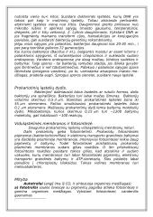 Du skirtingi ląstelių tipai 6 puslapis