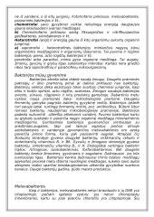 Du skirtingi ląstelių tipai 7 puslapis