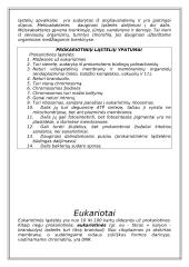 Du skirtingi ląstelių tipai 8 puslapis