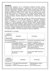 Du skirtingi ląstelių tipai 9 puslapis