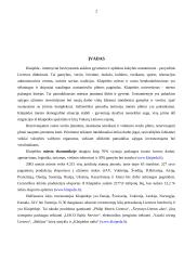 Klaipėdos gamybinių įmonių analizė 2 puslapis