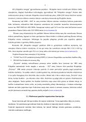 Klaipėdos gamybinių įmonių analizė 5 puslapis