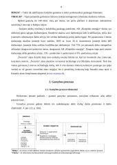 Klaipėdos gamybinių įmonių analizė 8 puslapis