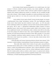 Laisvės atėmimo iki gyvos galvos reikšmė Lietuvos ir užsienio šalių baudžiamuosiuose įstatymuose bei praktinis šios bausmės taikymas 3 puslapis