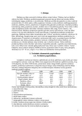 Lentpjūvės projektavimas 2 puslapis
