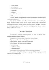 Modernios medienos džiovyklos diegimas įmonėje: medienos apdirbimas ir medinių žaislų gamyba UAB "Arbobaltas" 12 puslapis