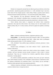 Modernios medienos džiovyklos diegimas įmonėje: medienos apdirbimas ir medinių žaislų gamyba UAB "Arbobaltas" 14 puslapis