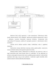 Modernios medienos džiovyklos diegimas įmonėje: medienos apdirbimas ir medinių žaislų gamyba UAB "Arbobaltas" 17 puslapis