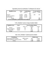 Modernios medienos džiovyklos diegimas įmonėje: medienos apdirbimas ir medinių žaislų gamyba UAB "Arbobaltas" 20 puslapis