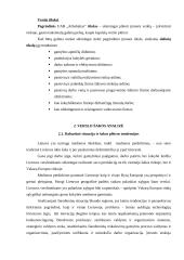 Modernios medienos džiovyklos diegimas įmonėje: medienos apdirbimas ir medinių žaislų gamyba UAB "Arbobaltas" 6 puslapis