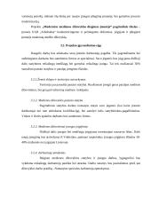 Modernios medienos džiovyklos diegimas įmonėje: medienos apdirbimas ir medinių žaislų gamyba UAB "Arbobaltas" 10 puslapis