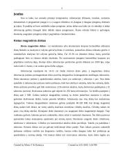 Duomenų saugojimo įrenginiai 3 puslapis