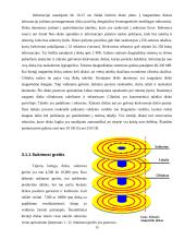 Duomenų saugojimo įrenginiai. Loginės duomenų struktūros 15 puslapis