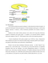 Duomenų saugojimo įrenginiai. Loginės duomenų struktūros 6 puslapis