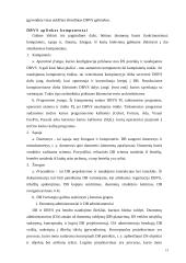 Duomenų saugojimo technologijos 13 puslapis