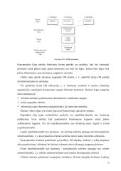 Duomenų saugojimo technologijos 16 puslapis