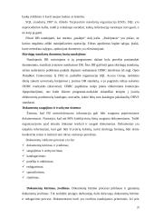 Duomenų saugojimo technologijos 20 puslapis