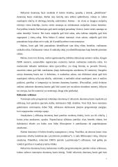 Duomenų saugojimo technologijos 7 puslapis