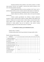 Naudotos plastikinės taros perdirbimo gamyklos statyba 19 puslapis