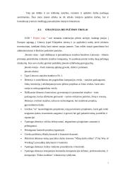 Naudotos plastikinės taros perdirbimo gamyklos statyba 7 puslapis