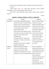 Naudotos plastikinės taros perdirbimo gamyklos statyba 8 puslapis