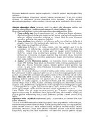 Ekonomikos tikslai ir pagrindai 11 puslapis