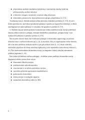 Ekonominio modelio samprata 6 puslapis