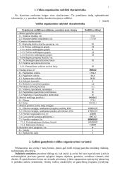 Pramonės organizavimas 2 puslapis