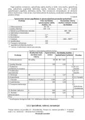 Pramonės organizavimas 11 puslapis