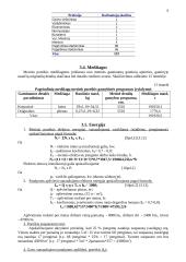 Pramonės organizavimas 12 puslapis