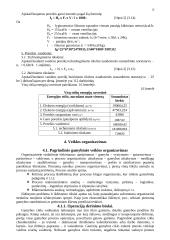 Pramonės organizavimas 13 puslapis