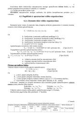 Pramonės organizavimas 17 puslapis