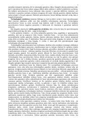 Pramonės organizavimas 3 puslapis