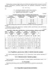 Pramonės organizavimas 8 puslapis