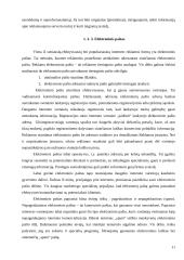 Reklama internete 11 puslapis