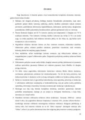 Reklama internete 19 puslapis