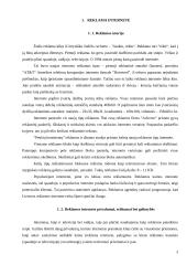 Reklama internete 3 puslapis